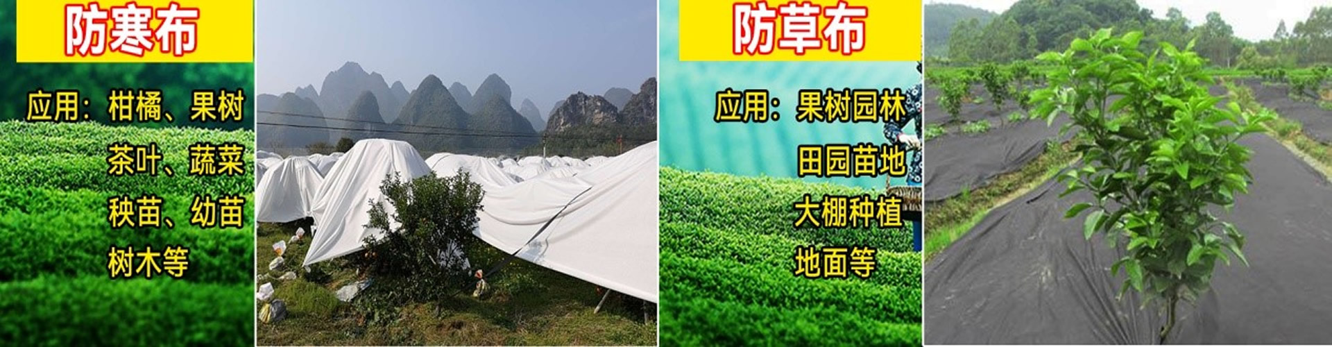 丽新布厂家