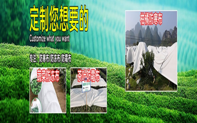 丽新布生产厂家
