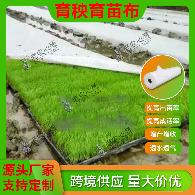 育秧育苗抗老化白色无纺布农用绿植