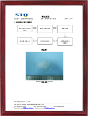 STO检测报告